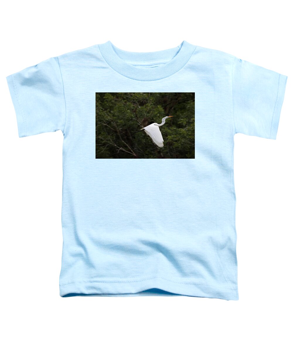 Great Egret Toddler T-Shirt featuring the photograph Great Egret in Flight by Mingming Jiang