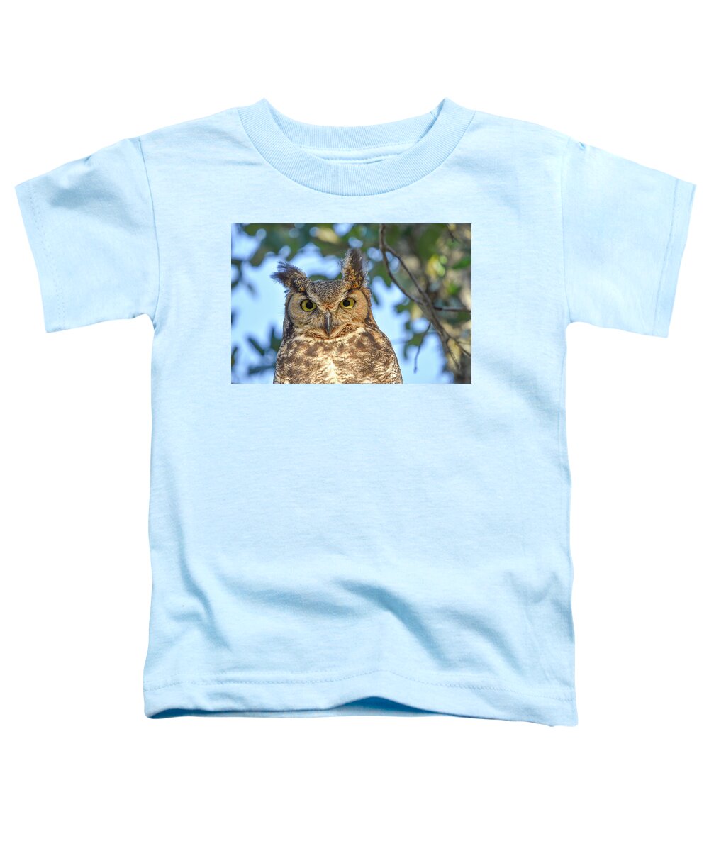 Owl Toddler T-Shirt featuring the photograph Great Horned Owl by Christopher Rice