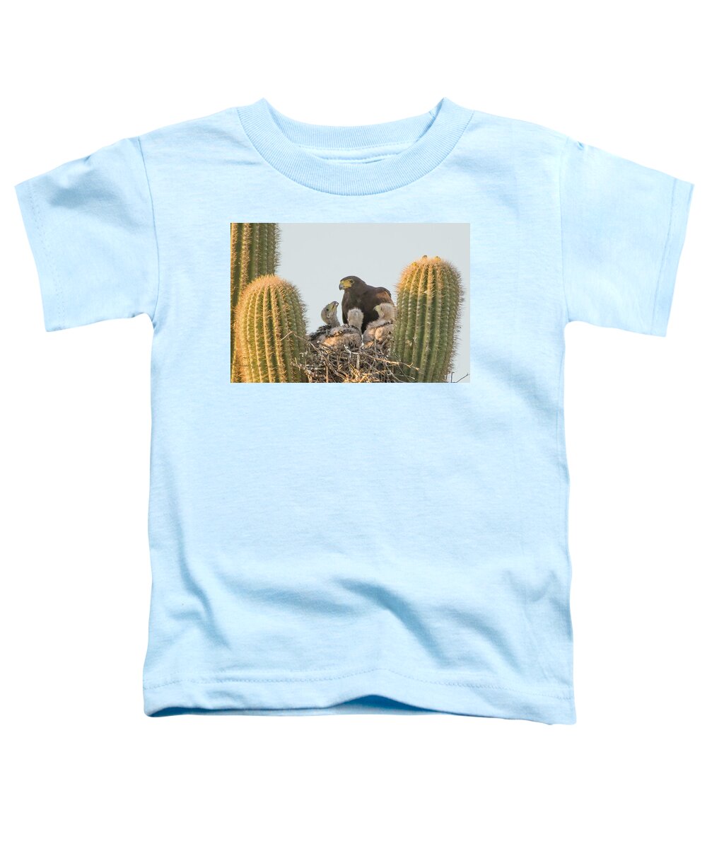 Harris Hawks Toddler T-Shirt featuring the photograph Harris Hawk Adult and Chicks 7955-050922-3 by Tam Ryan