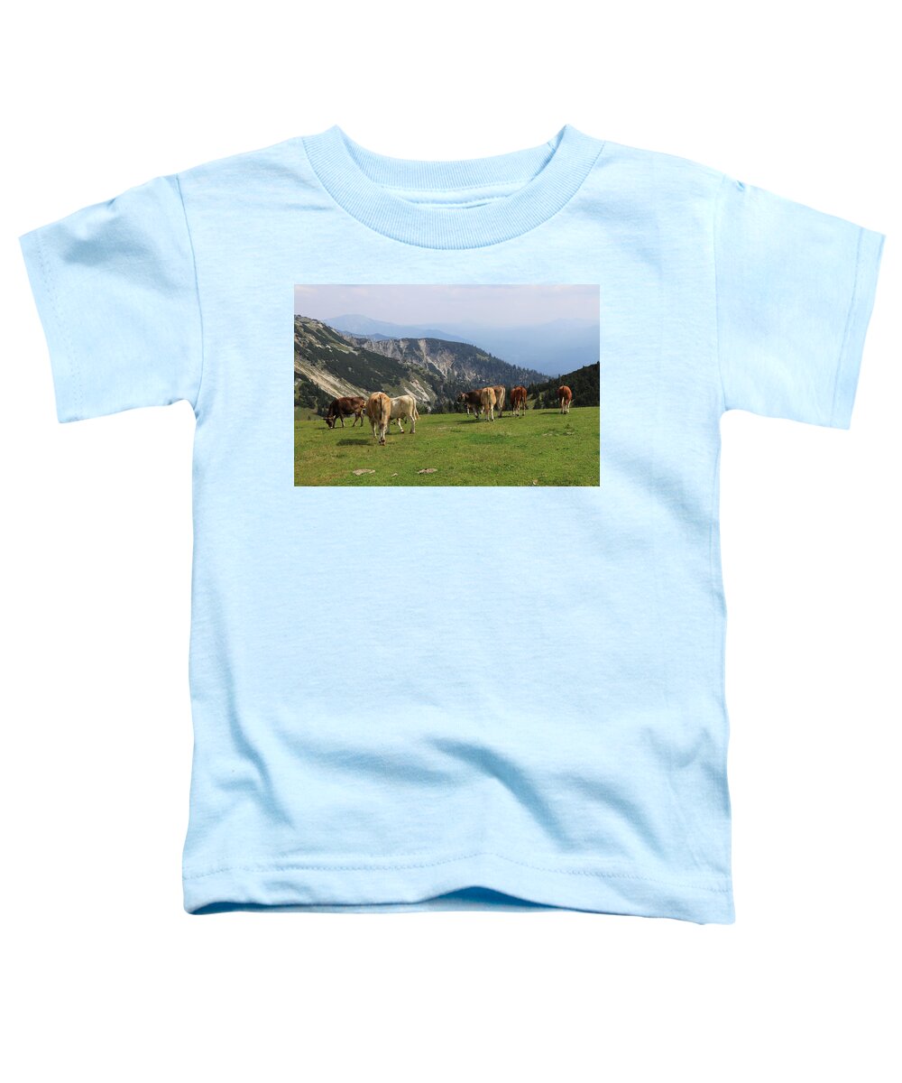 Hochkar Toddler T-Shirt featuring the photograph Herd of Pinzgauer cattle grazes on the Hochkar mountain with an incredible and soothing view of the rest of the Austrian Alps. Organic product, the freshest and highest quality milk. by Vaclav Sonnek