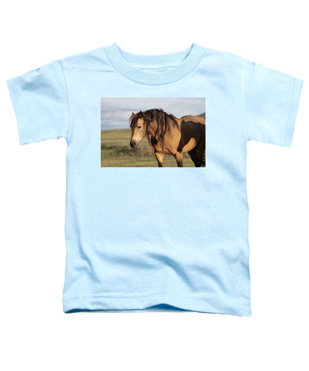 Wild Horses Toddler T-Shirt featuring the photograph Horse on Horse by Mary Hone