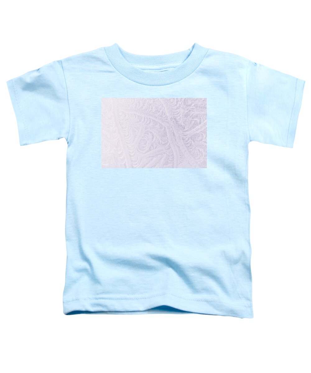 New Hampshire Toddler T-Shirt featuring the photograph In Frost   by Jeff Sinon
