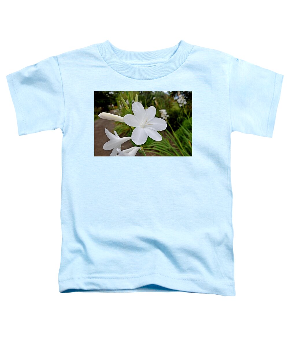 Kula Toddler T-Shirt featuring the photograph Kula Botanical Gardens Study 34 by Robert Meyers-Lussier