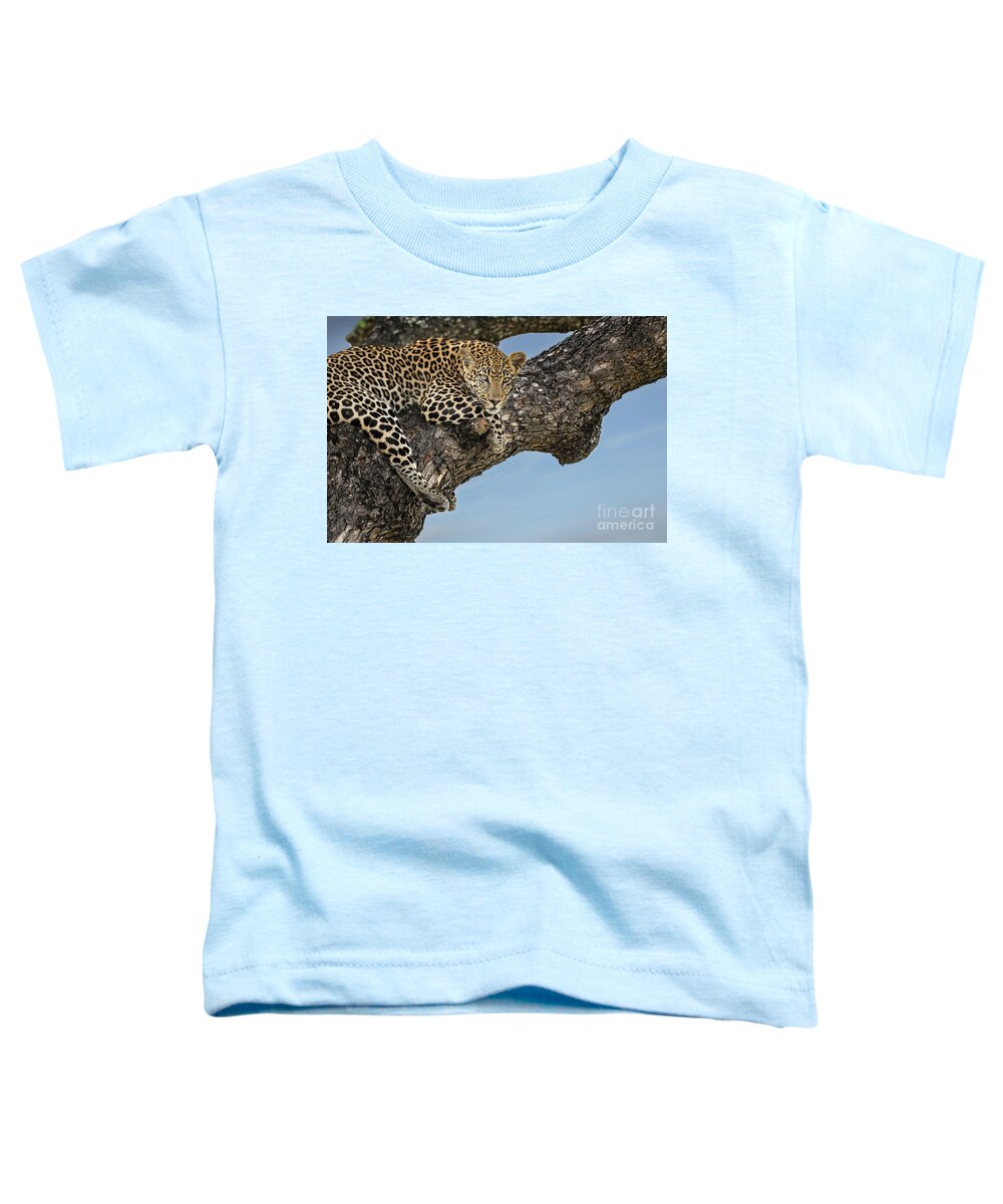 Wildlife Toddler T-Shirt featuring the photograph Leopard Moments-South Africa by Sandra Bronstein