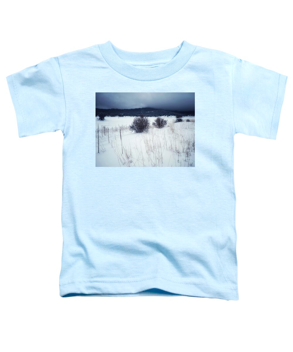 Dan Miller Toddler T-Shirt featuring the photograph Looming Storm by Dan Miller