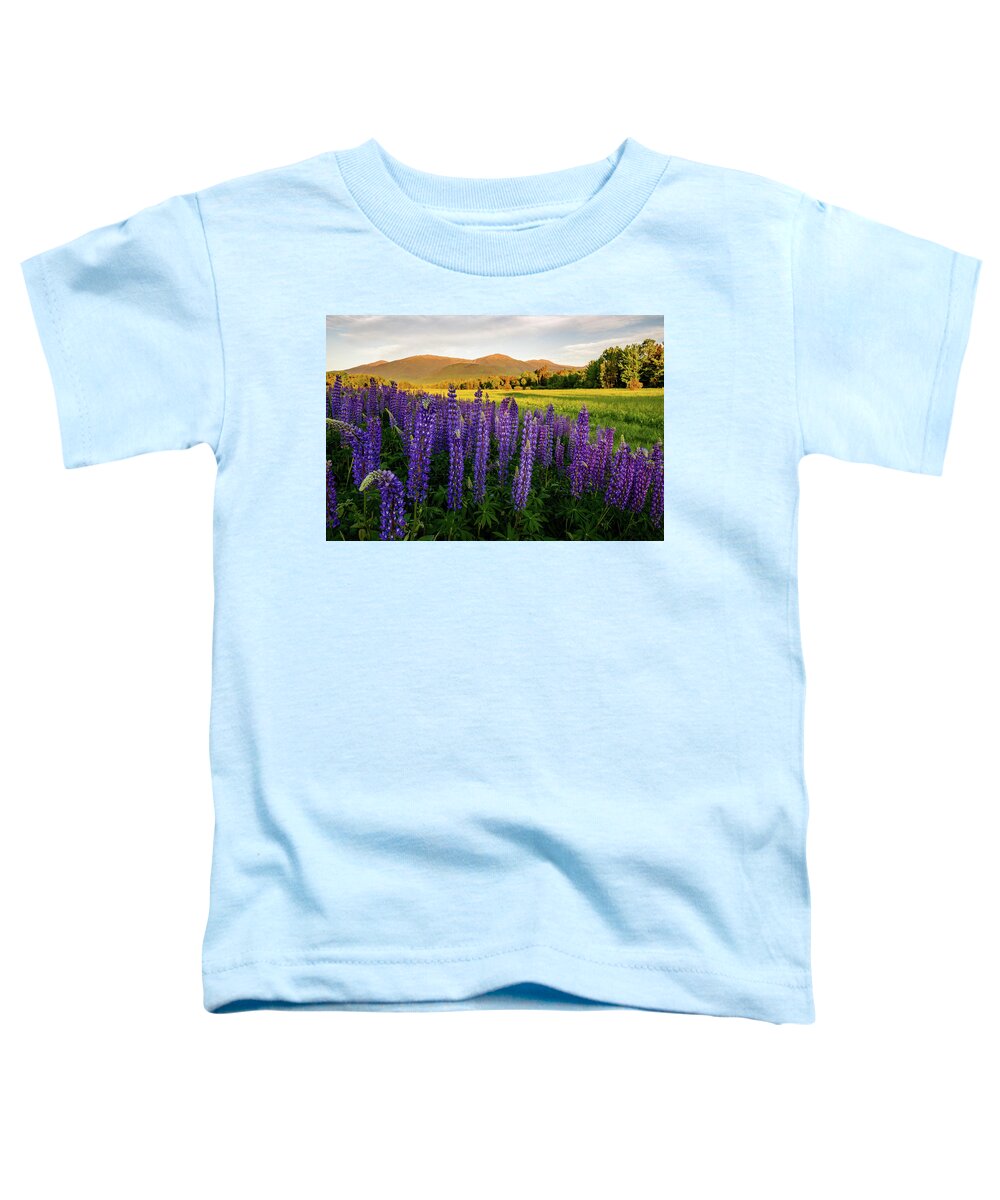 Lupine Toddler T-Shirt featuring the photograph Lupines of the White Mountains in New Hampshire IV by William Dickman