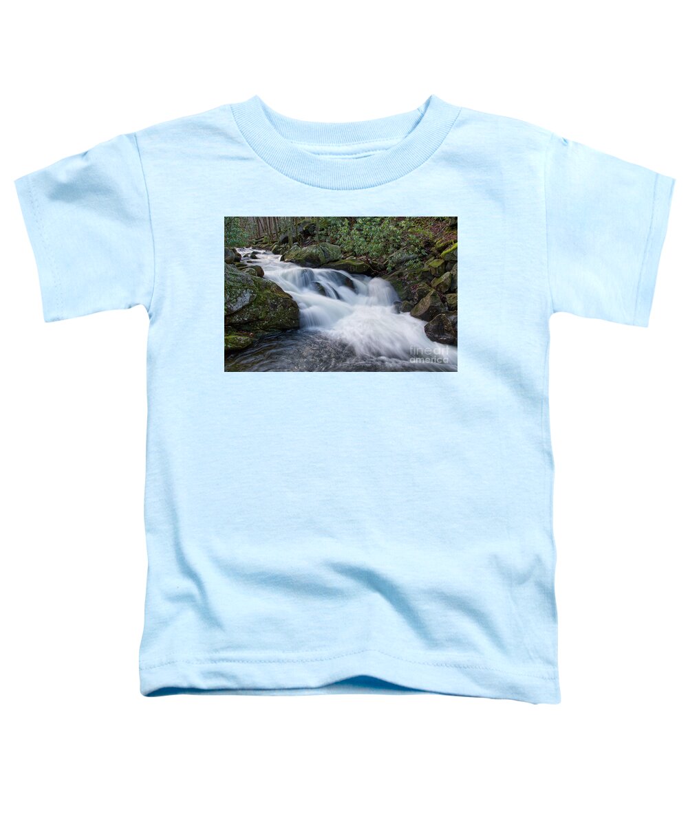 Middle Prong Trail Toddler T-Shirt featuring the photograph Lynn Camp Prong 2 by Phil Perkins