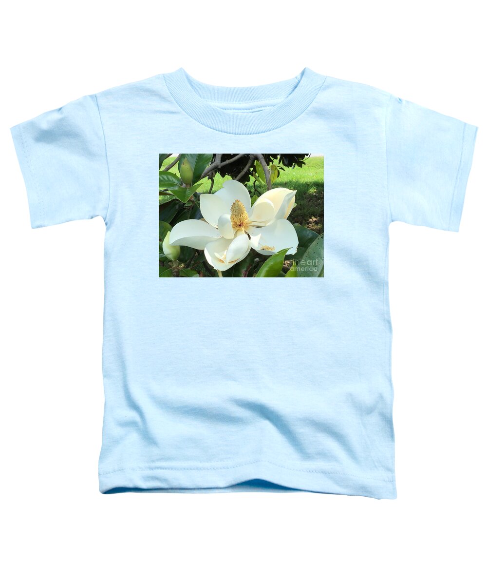 Magnolia - Flowers Toddler T-Shirt featuring the photograph Magnolia Joy Two by Catherine Wilson