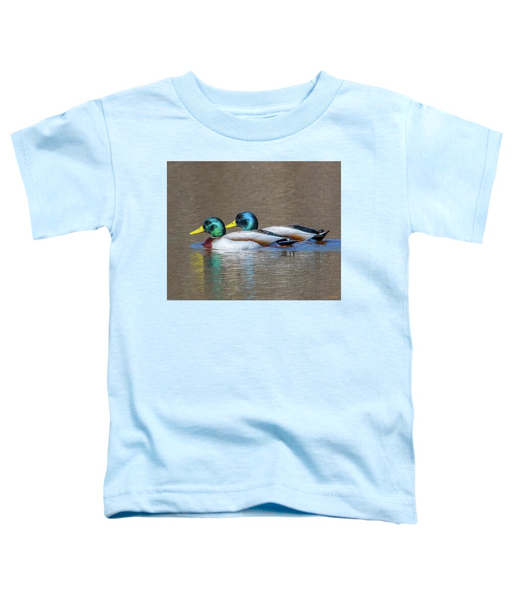 Nature Toddler T-Shirt featuring the photograph Mallard Drakes DWF0227 by Gerry Gantt