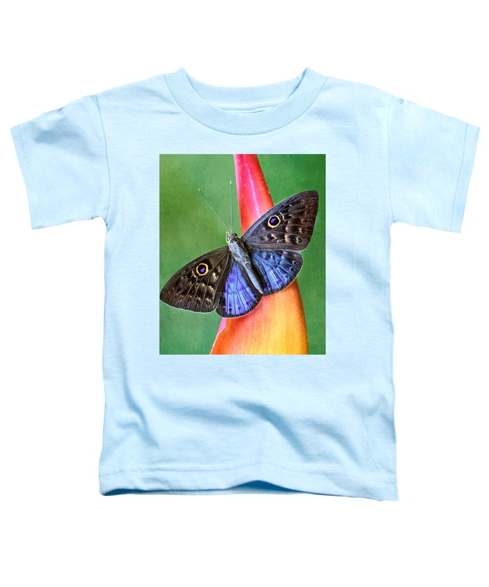 Butterfly Toddler T-Shirt featuring the photograph Natures Gift by Susan Hope Finley