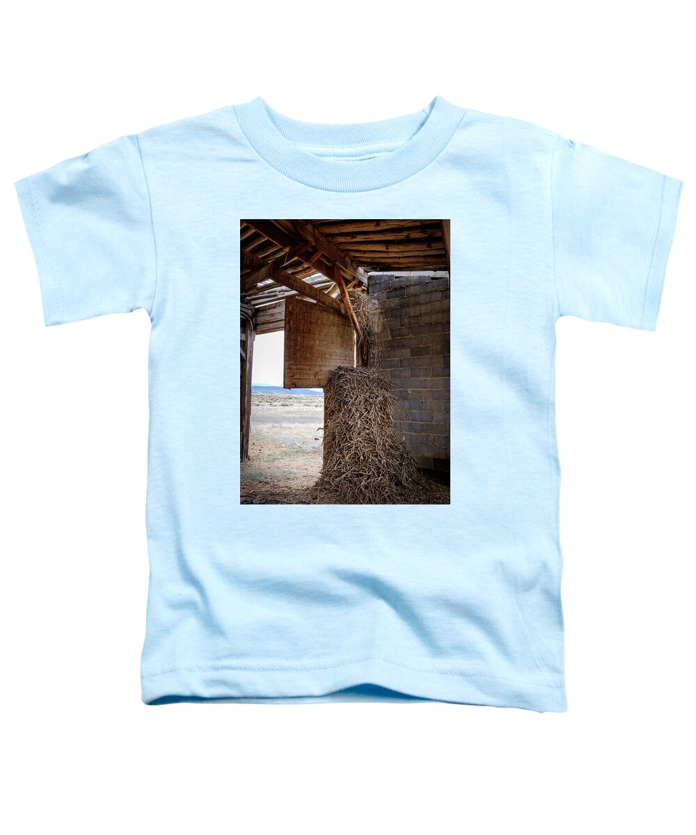 Colorado Toddler T-Shirt featuring the photograph Nest of the Ancient Raven by Mary Lee Dereske