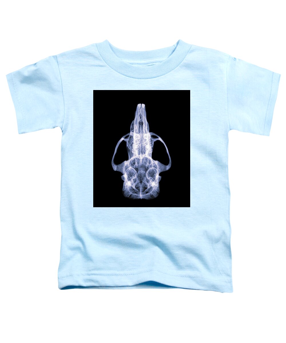 Mammal Toddler T-Shirt featuring the photograph North American Porcupine -13 by Rob Graham