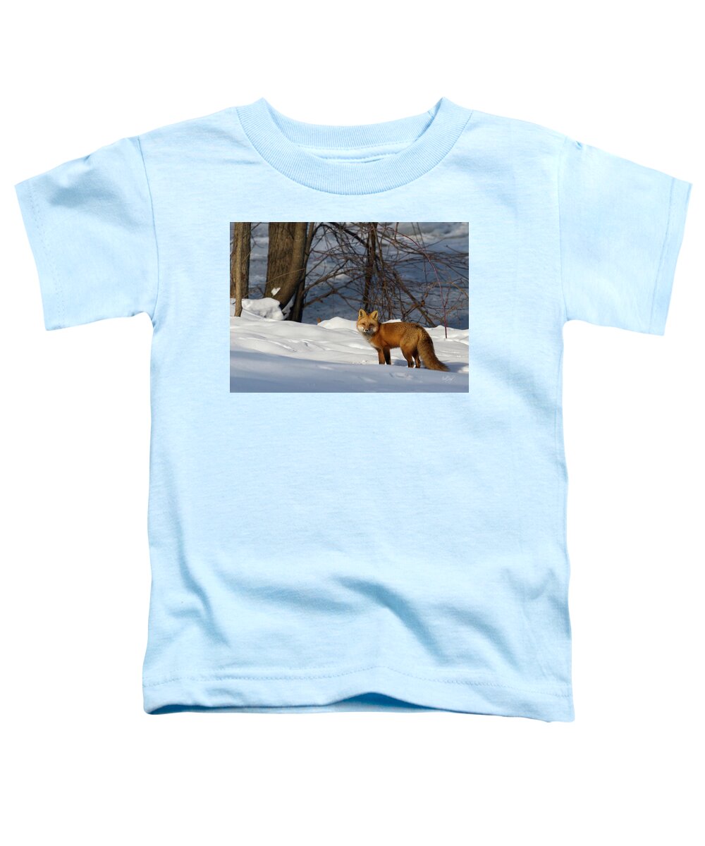 Red Fox Toddler T-Shirt featuring the photograph Office View by Everet Regal