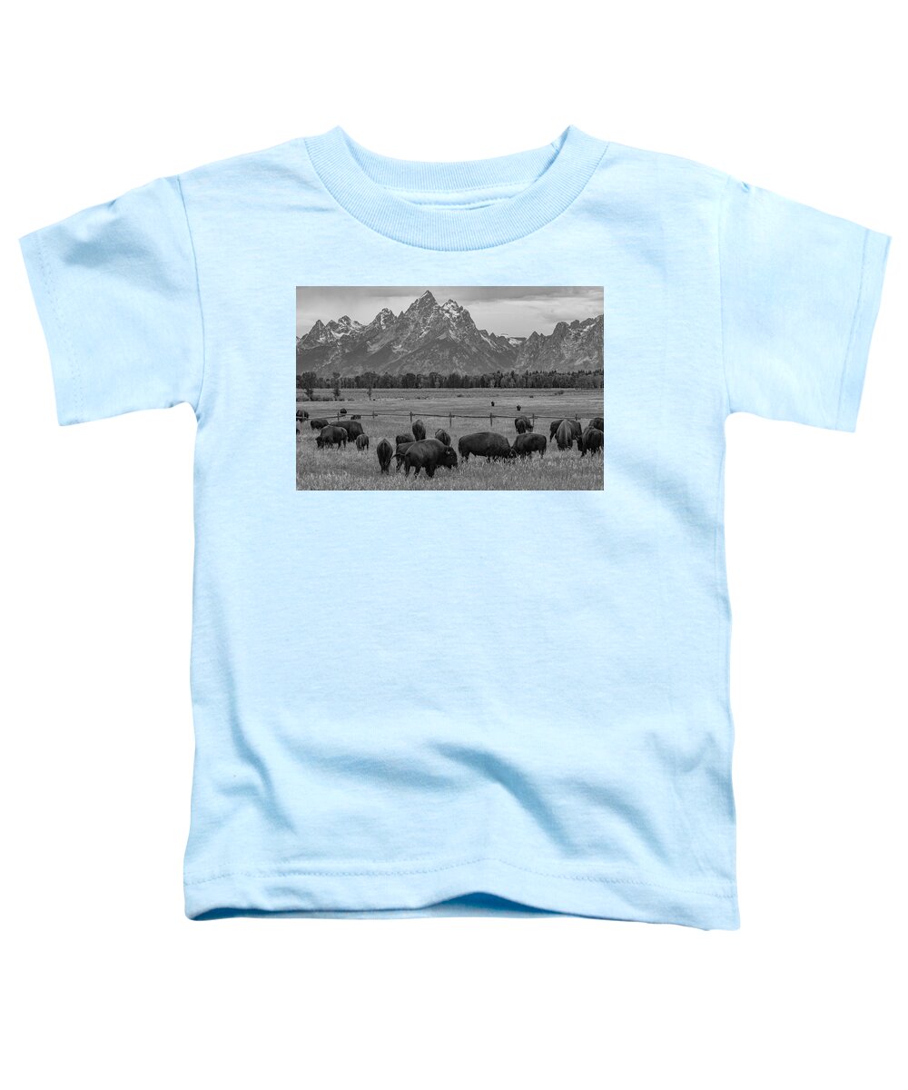 Grand Teton National Park Toddler T-Shirt featuring the photograph On The Range by Melissa Southern