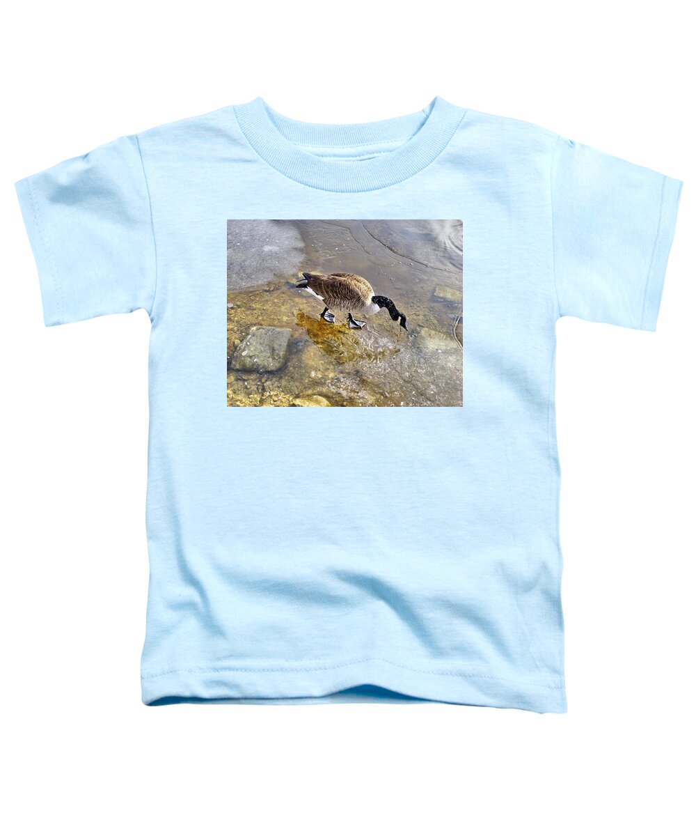Canada Goose Toddler T-Shirt featuring the photograph On the Thin Ice by Lyuba Filatova