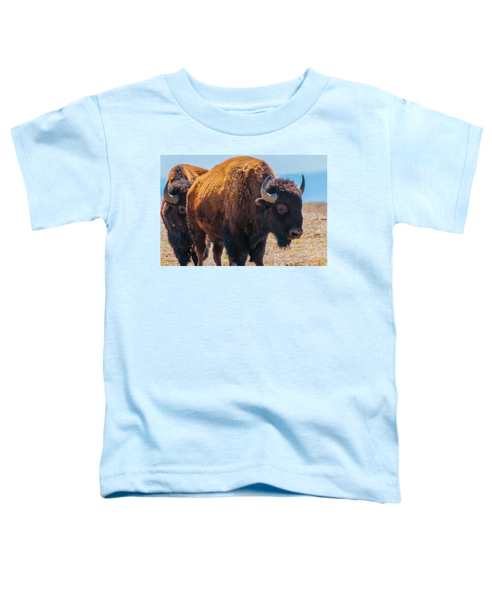 Agriculture Toddler T-Shirt featuring the photograph Bison in Field in the Daytime by Tom Potter