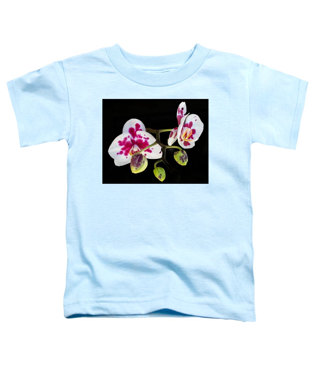 Orchid Toddler T-Shirt featuring the photograph Orchid Transparency by Richard Goldman