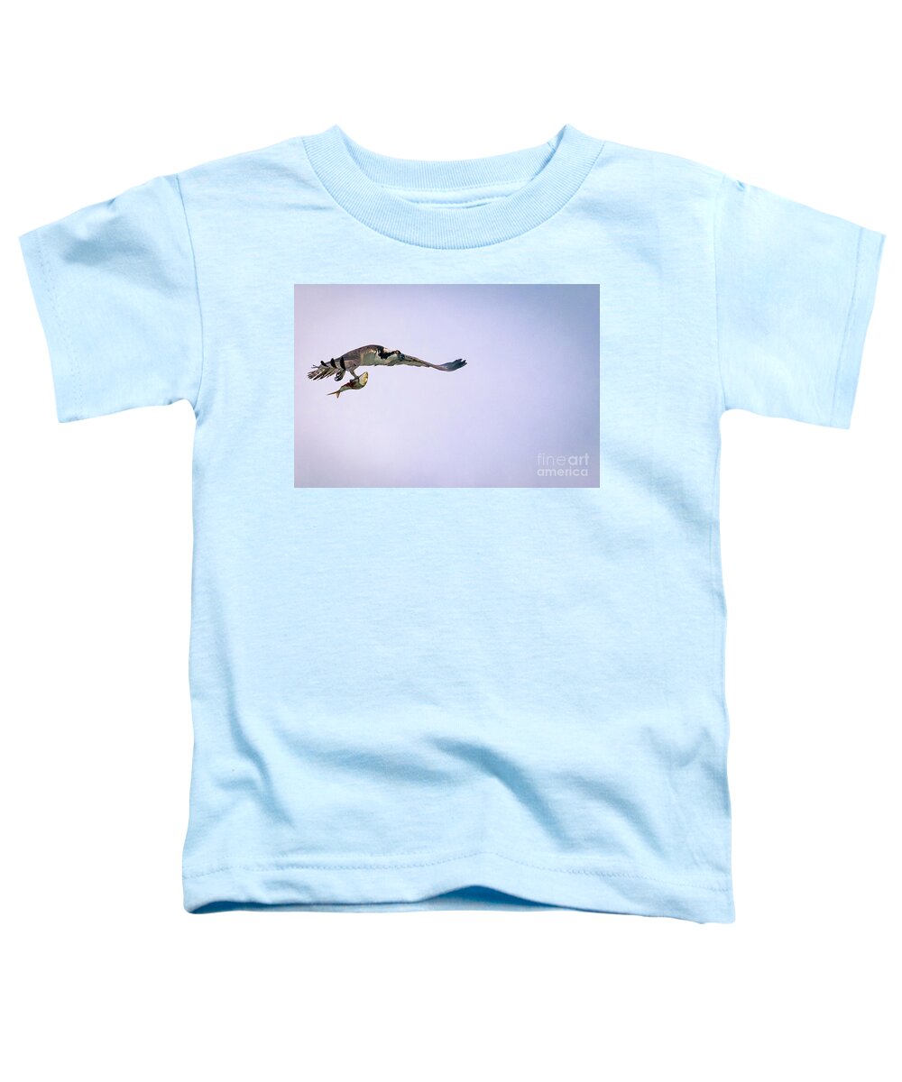Osprey Toddler T-Shirt featuring the photograph Osprey flying with fish. by Alyssa Tumale