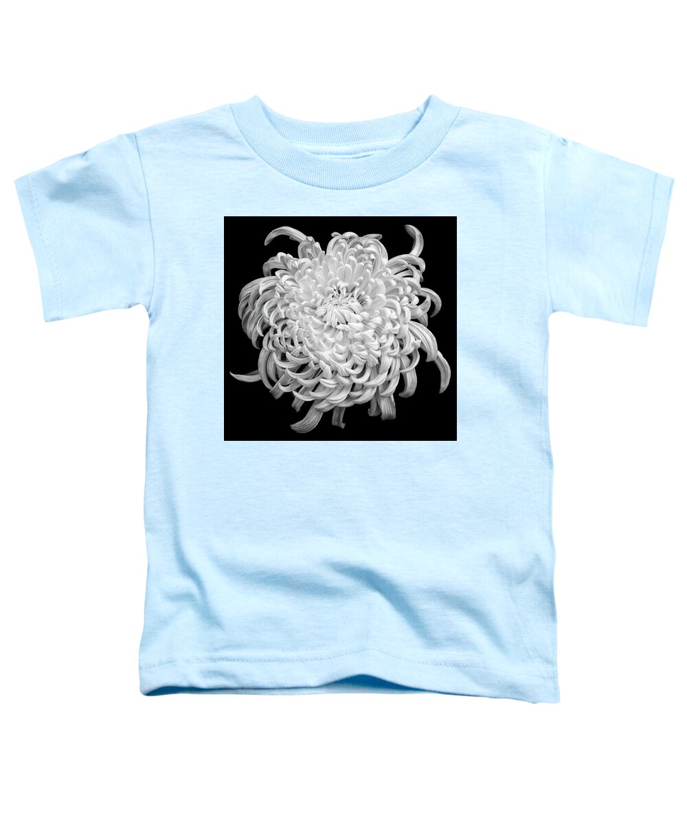 Chrysantemum Toddler T-Shirt featuring the photograph Playful Mood by Elvira Peretsman