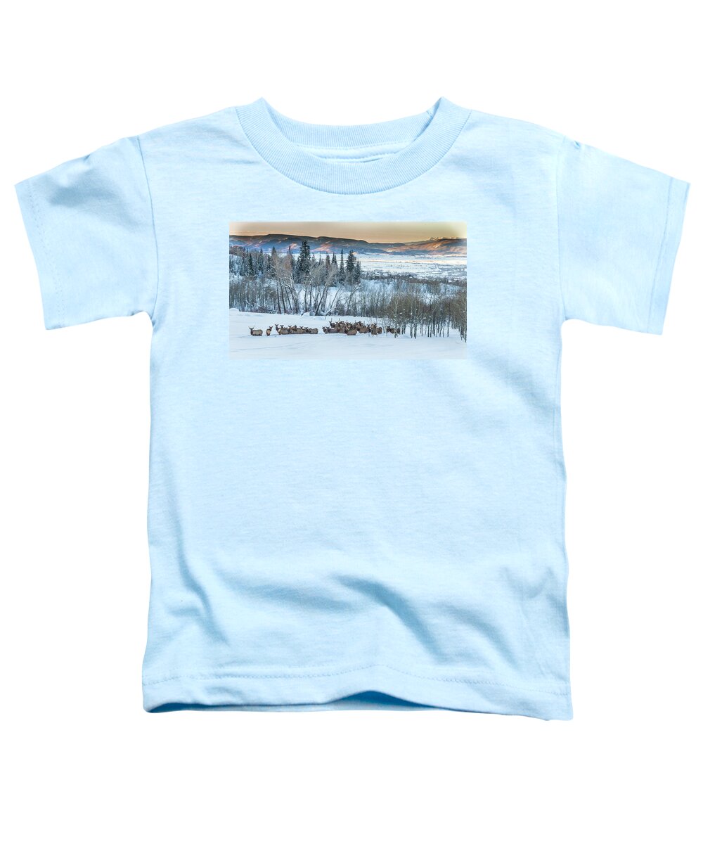  Toddler T-Shirt featuring the photograph Pre Dawn Gathering by Kevin Dietrich