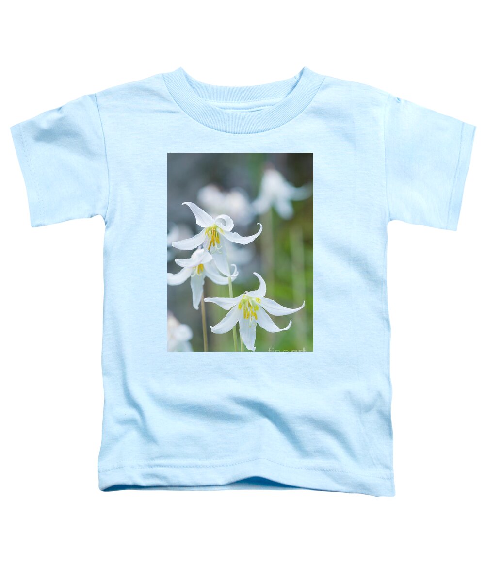 White Fawn Lily Toddler T-Shirt featuring the photograph Purity by Michael Wheatley