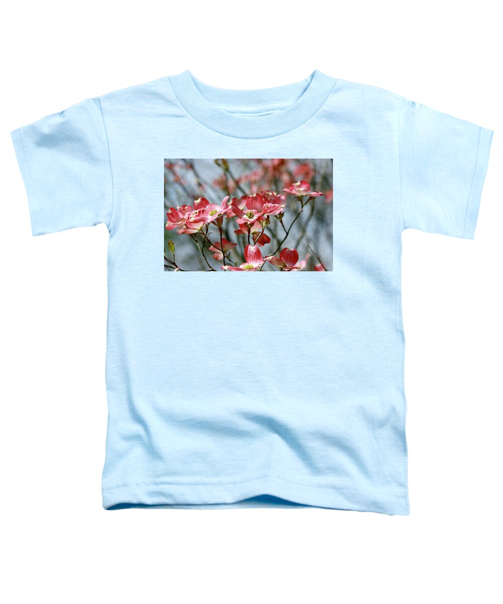 Nature Toddler T-Shirt featuring the photograph Red Dogwood by Gina Fitzhugh