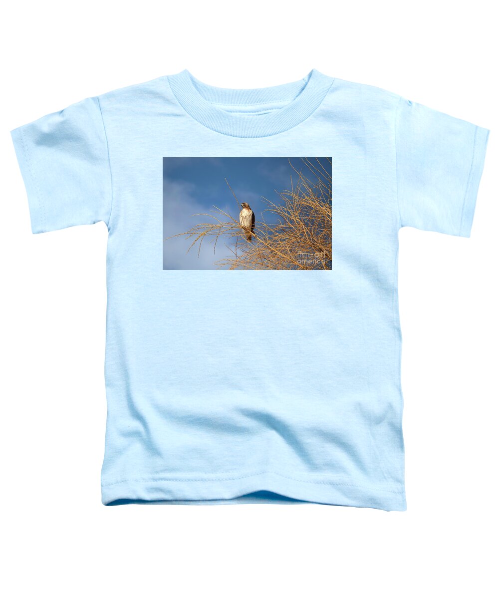 Taos Toddler T-Shirt featuring the photograph Red Tailed Hawk from Arroyo Hondo NM by Elijah Rael