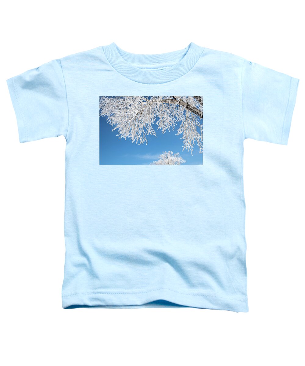 Jackson Toddler T-Shirt featuring the photograph Rime Frost in the Tetons by Douglas Wielfaert