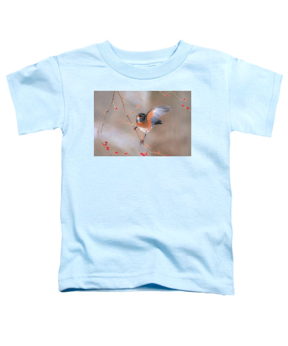 Waving Toddler T-Shirt featuring the photograph Robin Waving by Dan Sproul