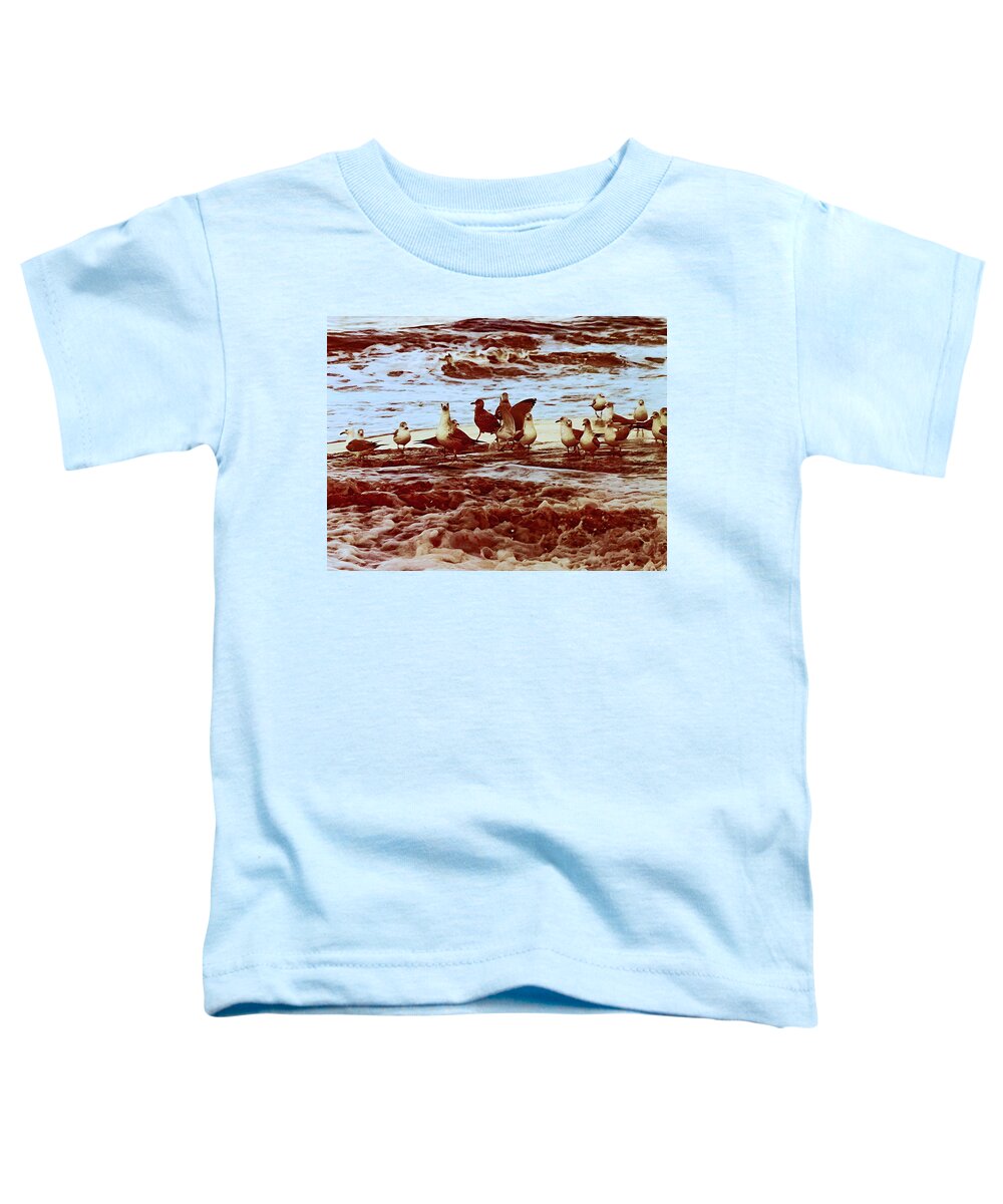 Photograph Birds Sea Shore Toddler T-Shirt featuring the photograph Seagulls on the Eastern Seaboard by Beverly Read