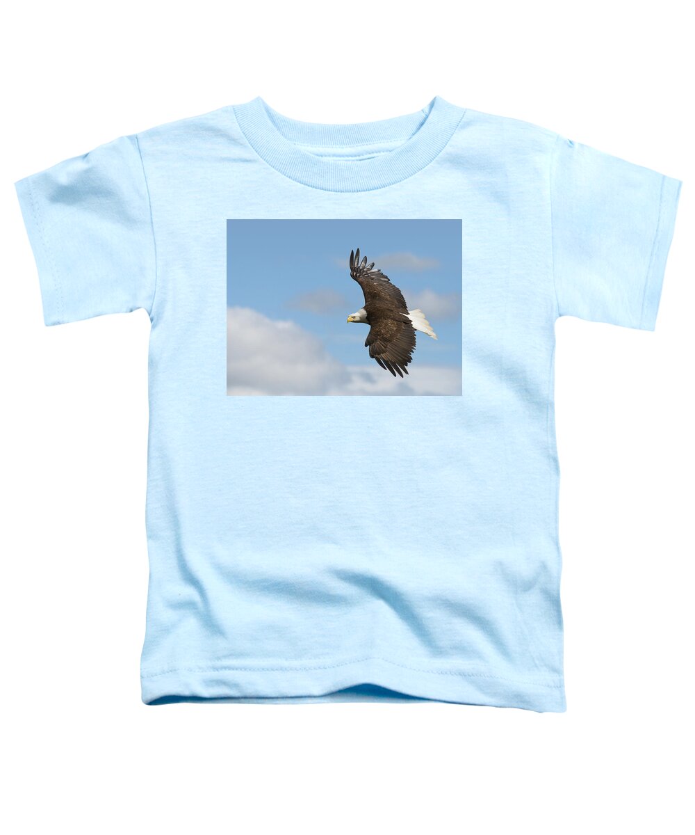 Bald Eagle Toddler T-Shirt featuring the photograph Soaring Eagle by Michael Rauwolf