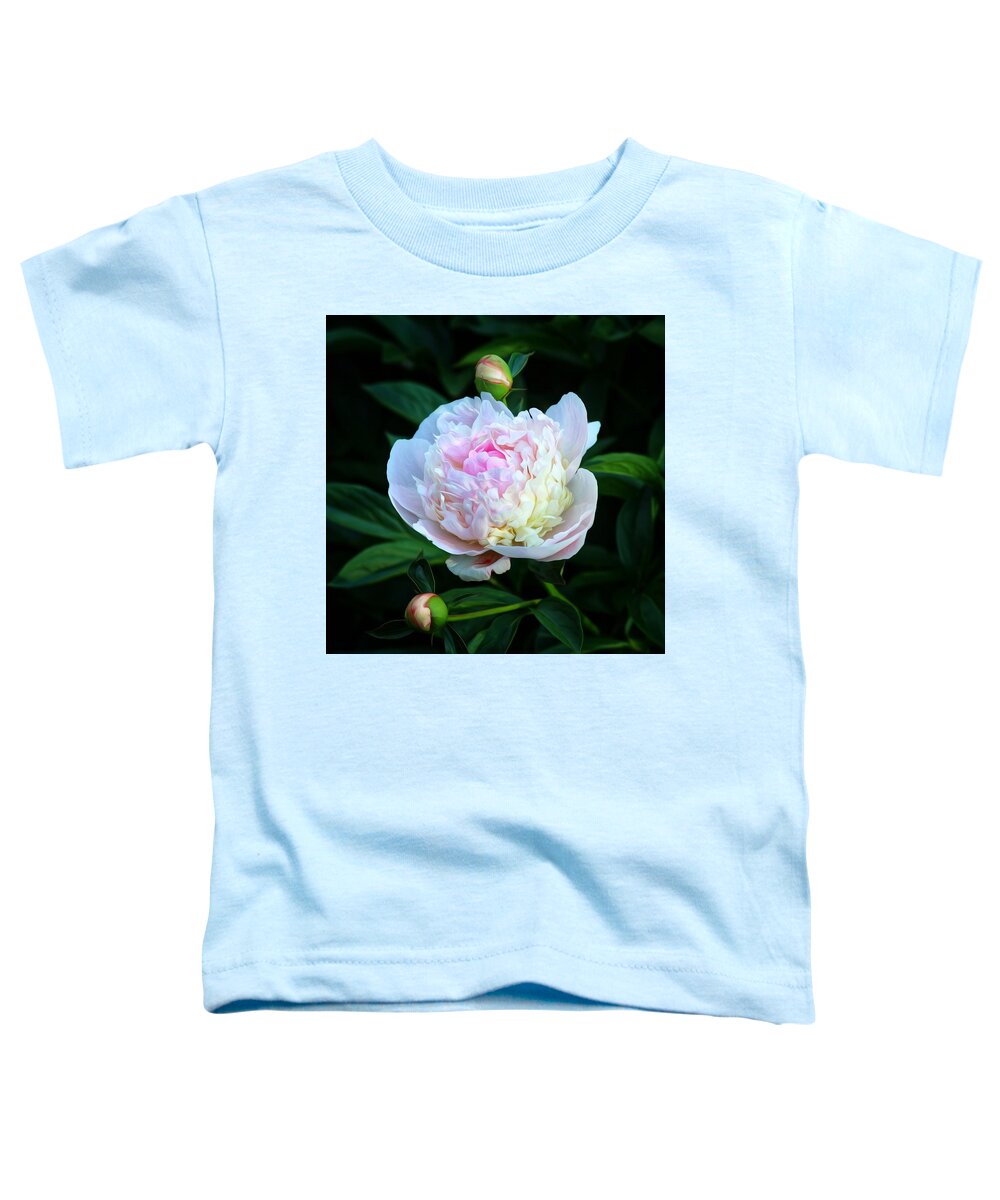 Flower Toddler T-Shirt featuring the photograph Softly Pink by Hans Brakob