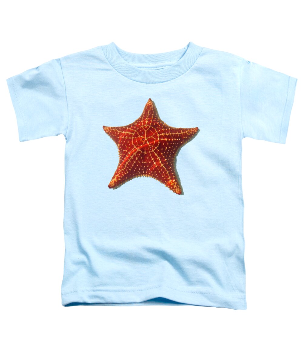 Duane Mccullough Toddler T-Shirt featuring the photograph Starfish Clear by Duane McCullough