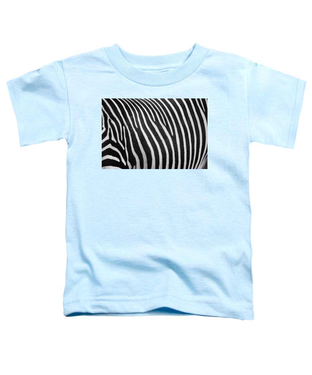 Zoo Boise Toddler T-Shirt featuring the photograph Stripes by Melissa Southern