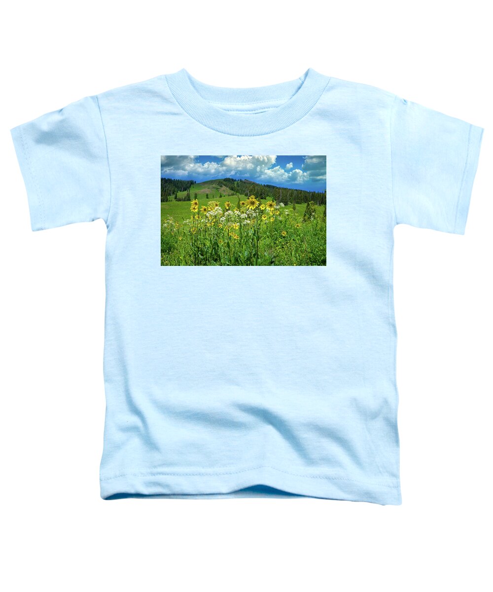 Crested Butte Toddler T-Shirt featuring the photograph Sunflower Days in the San Juans by Lynn Bauer