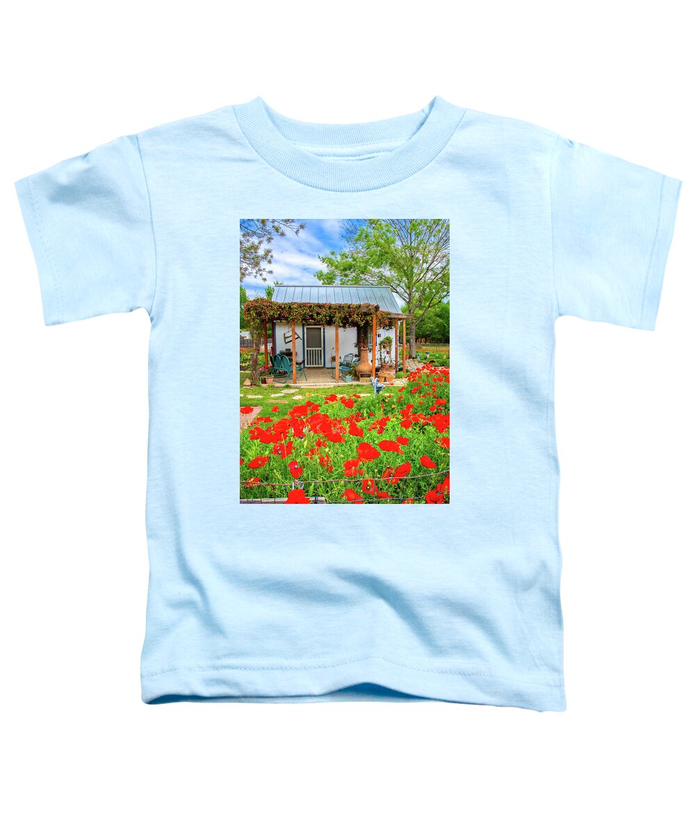 Springtime Toddler T-Shirt featuring the photograph The Early Days of Spring by Lynn Bauer