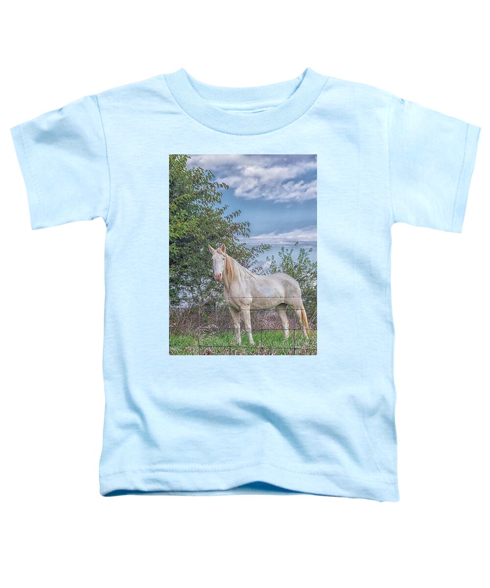 Horse Toddler T-Shirt featuring the photograph The Old Gray Mare - Rural Indiana by Bob Decker