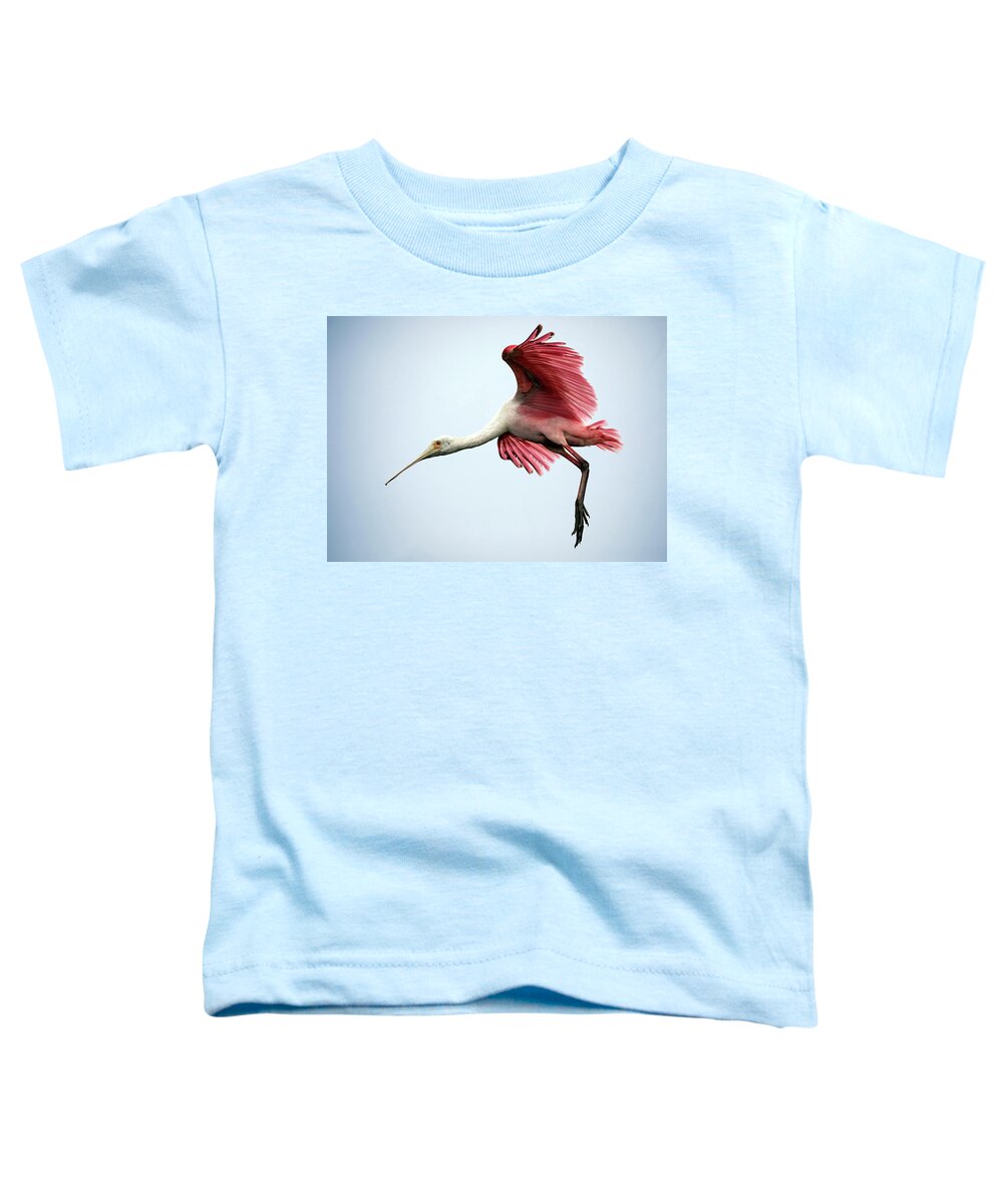 Bird Toddler T-Shirt featuring the photograph Tip Toe Landing by Art Cole