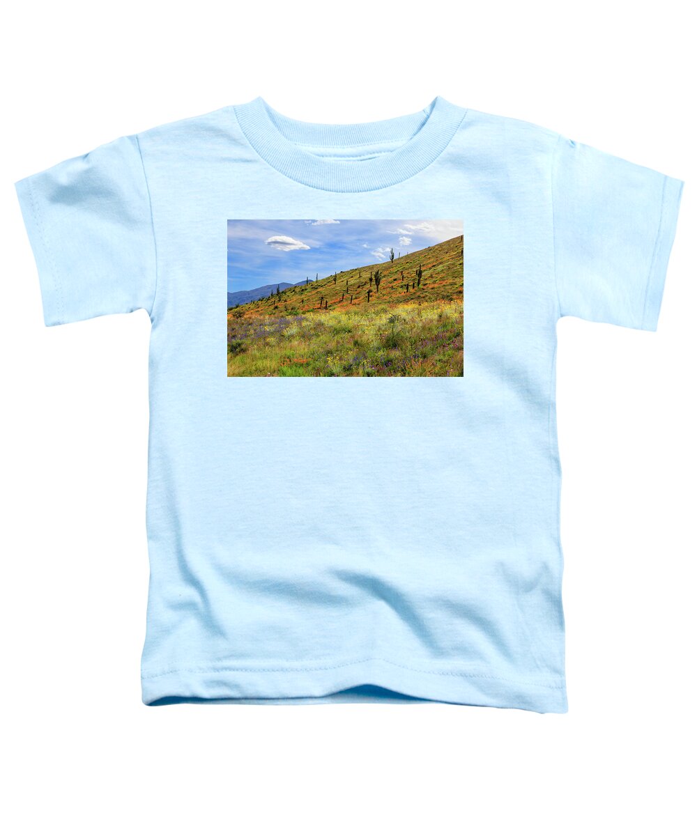 2023 Toddler T-Shirt featuring the photograph Tonto Basin Spring by Dennis Swena