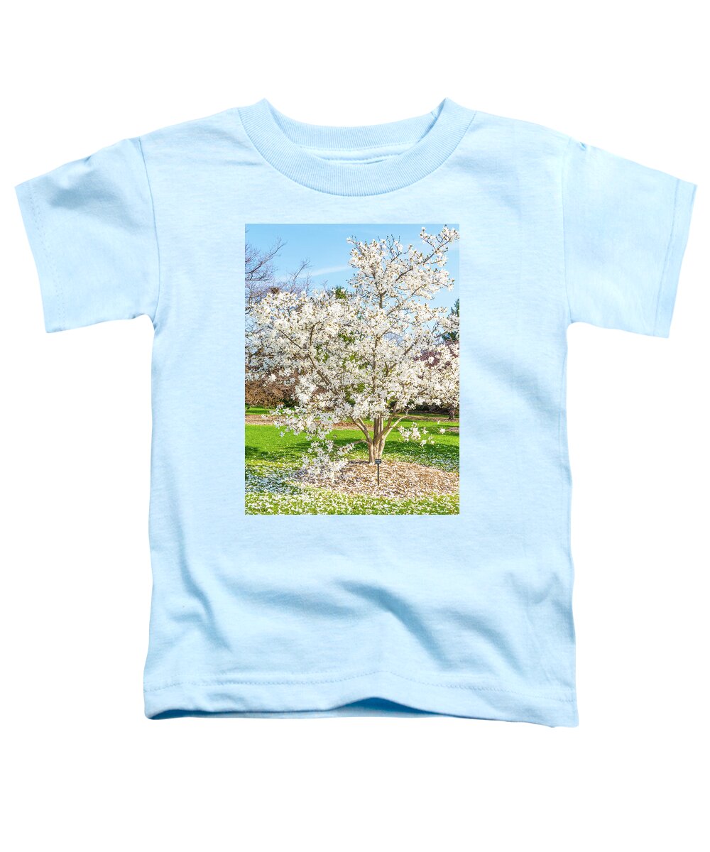 White Leaves Blooming Spring Springtime Toddler T-Shirt featuring the photograph Tree Blooming During Springtime - Cantigny Park, Wheaton, Illinois by David Morehead