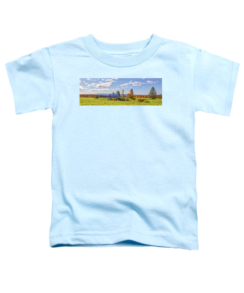 Am Foster Covered Bridge Toddler T-Shirt featuring the photograph Vermont AM Foster Covered Bridge Panorama by Juergen Roth
