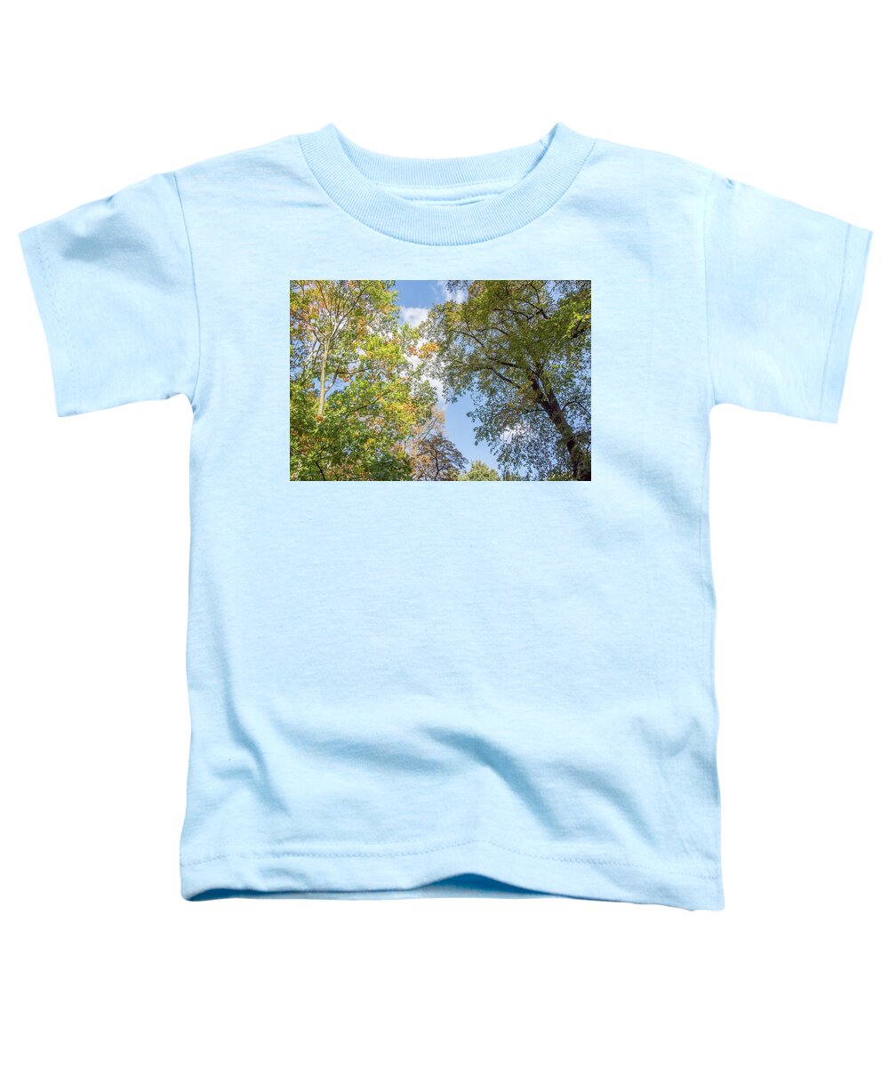 Waterlow Park Toddler T-Shirt featuring the photograph Waterlow Park Trees Fall 2 by Edmund Peston