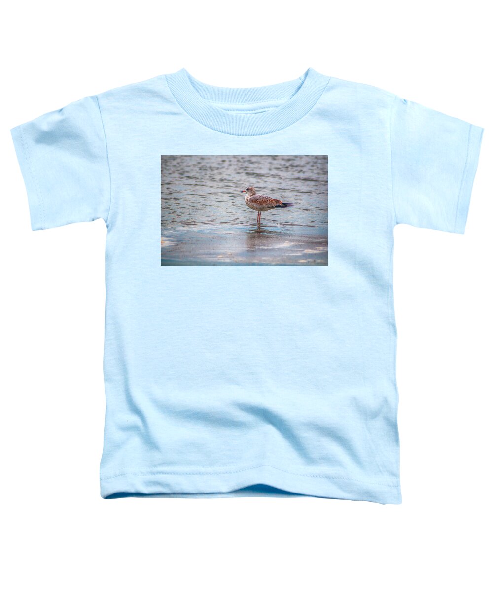 South Carolina Toddler T-Shirt featuring the photograph Wet Feet by Jim Norwood