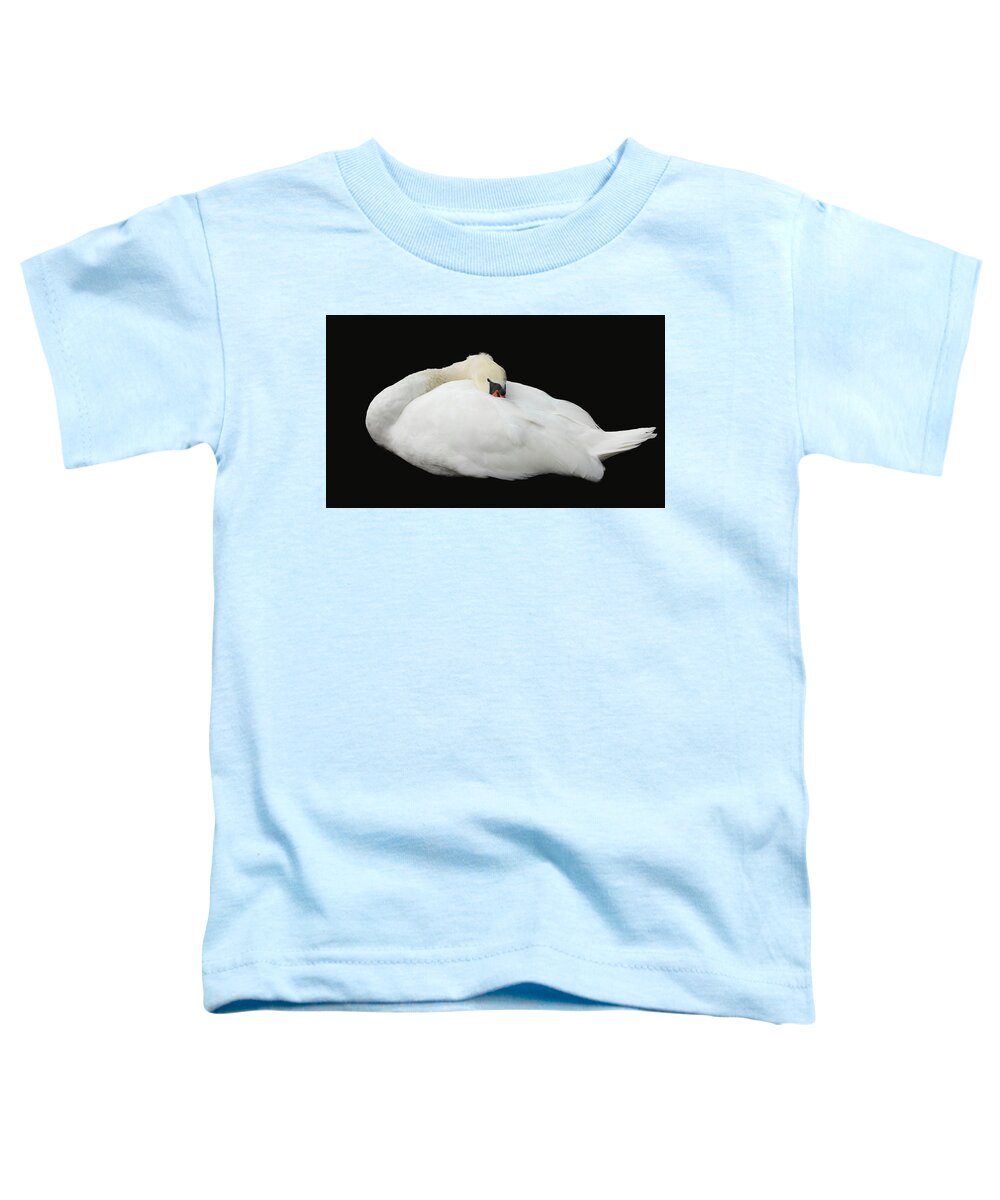 Swan Toddler T-Shirt featuring the photograph White Beauty by Mingming Jiang