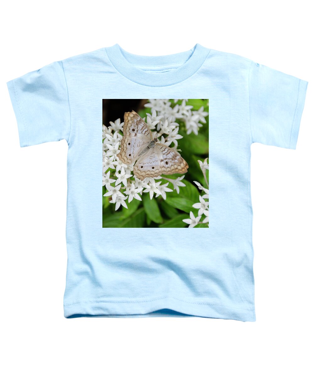 Butterfly Toddler T-Shirt featuring the photograph White Butterfly on White Flowers by WAZgriffin Digital