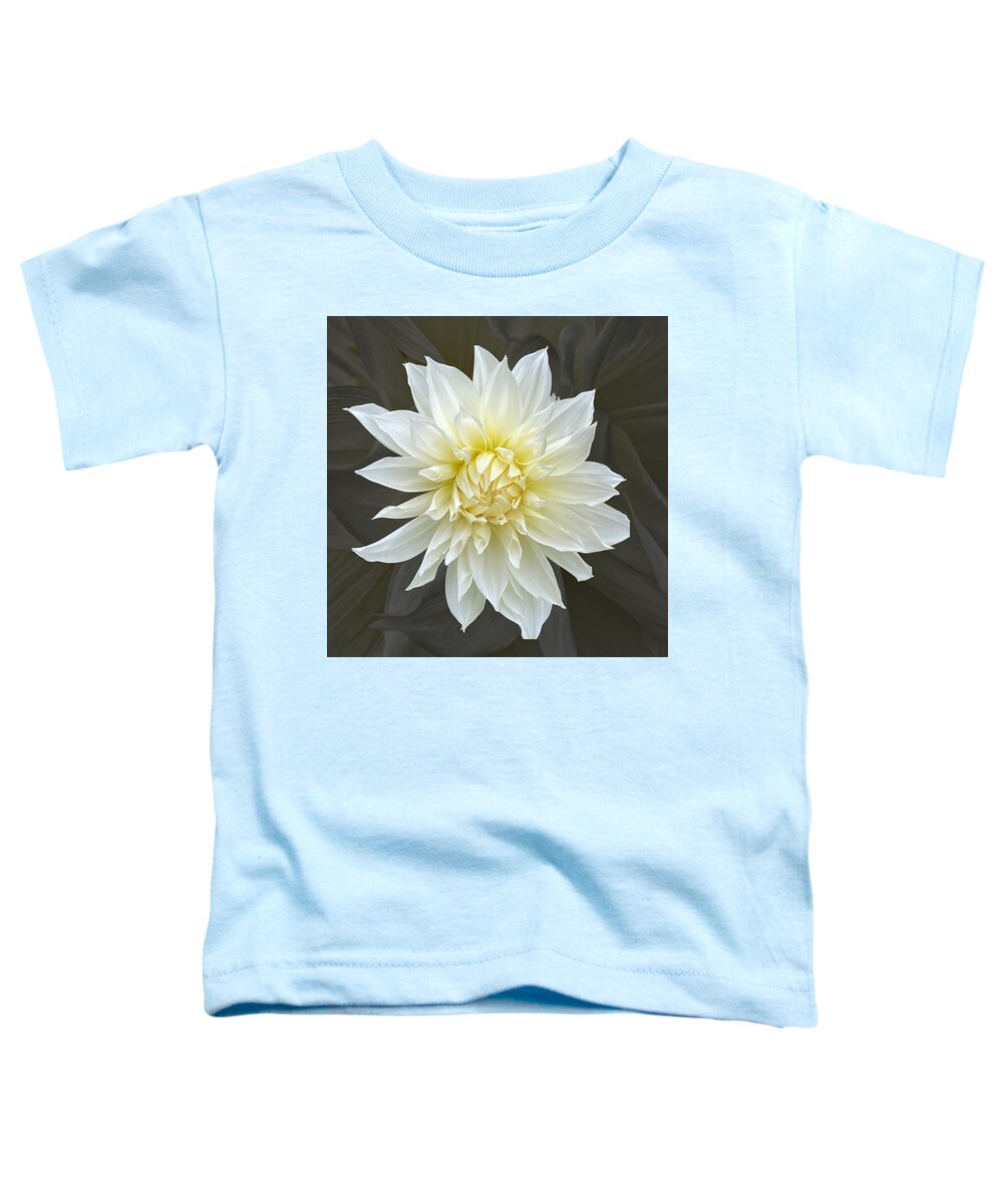 Dahlia Toddler T-Shirt featuring the photograph White Cactus Dahlia by Jerry Abbott