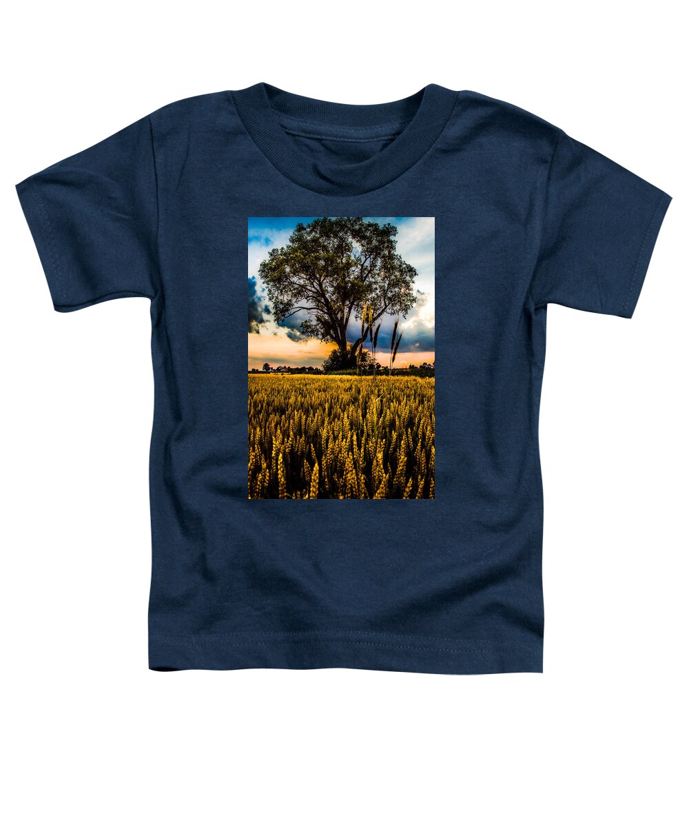 Archbold Toddler T-Shirt featuring the photograph Summer Evening After A Rain #1 by Michael Arend