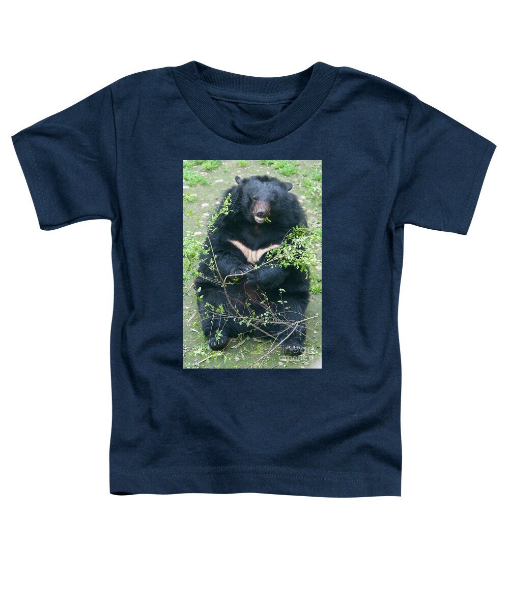 Nature Toddler T-Shirt featuring the photograph Asian Black Bear #19 by Mark Newman