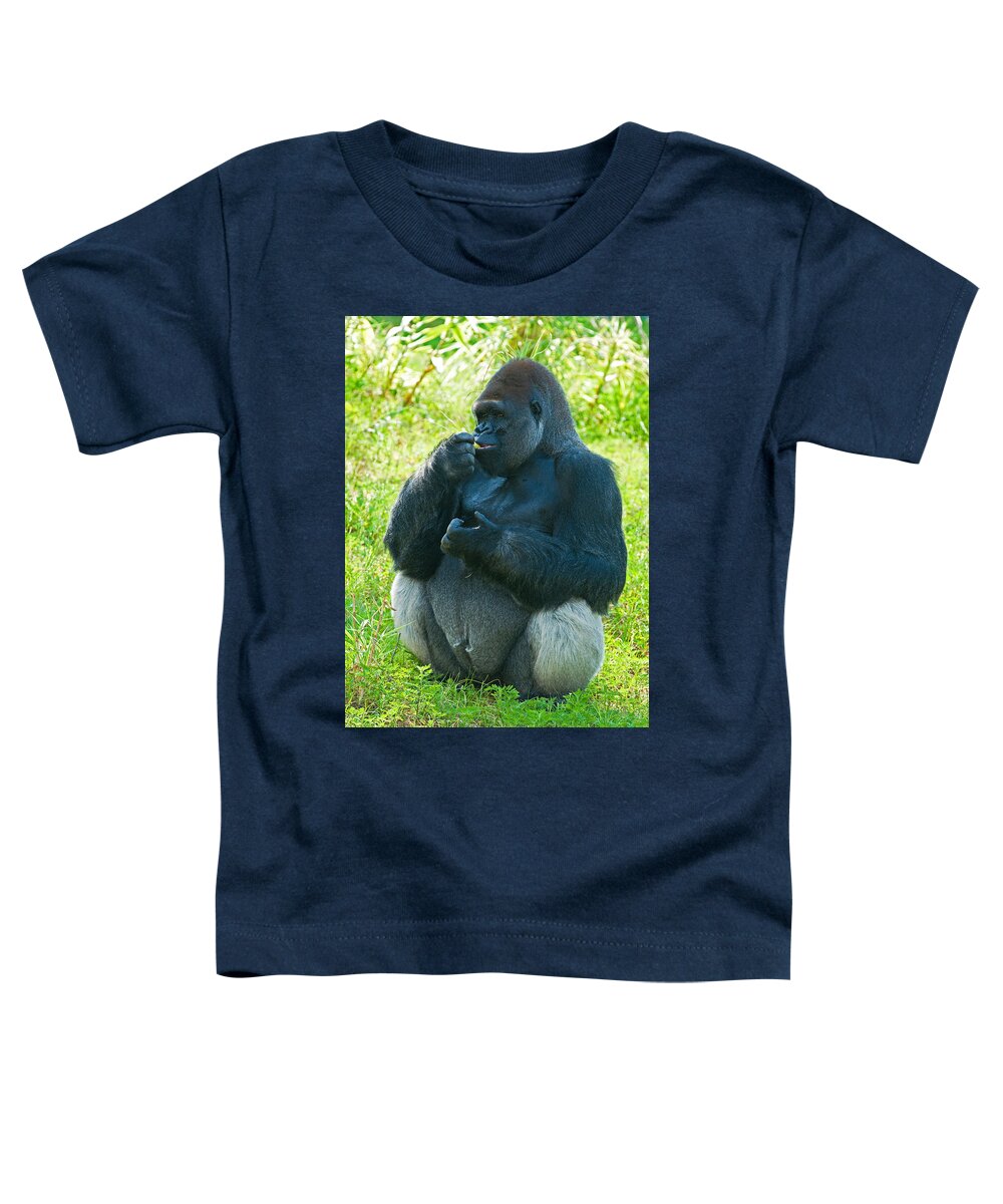 Nature Toddler T-Shirt featuring the photograph Western Lowland Gorilla #64 by Millard H. Sharp
