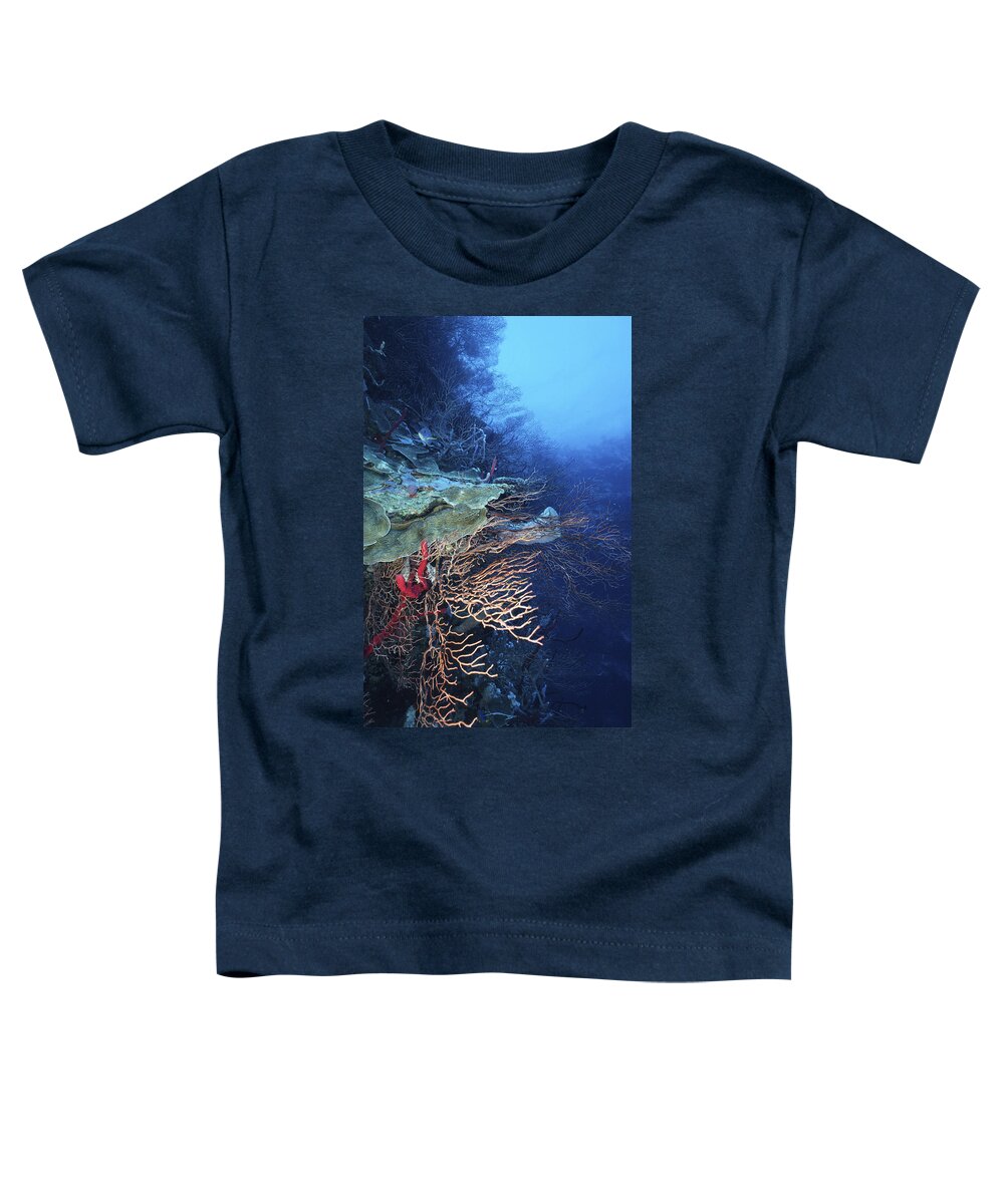 Angle Toddler T-Shirt featuring the photograph A Peaceful Place by Sandra Edwards